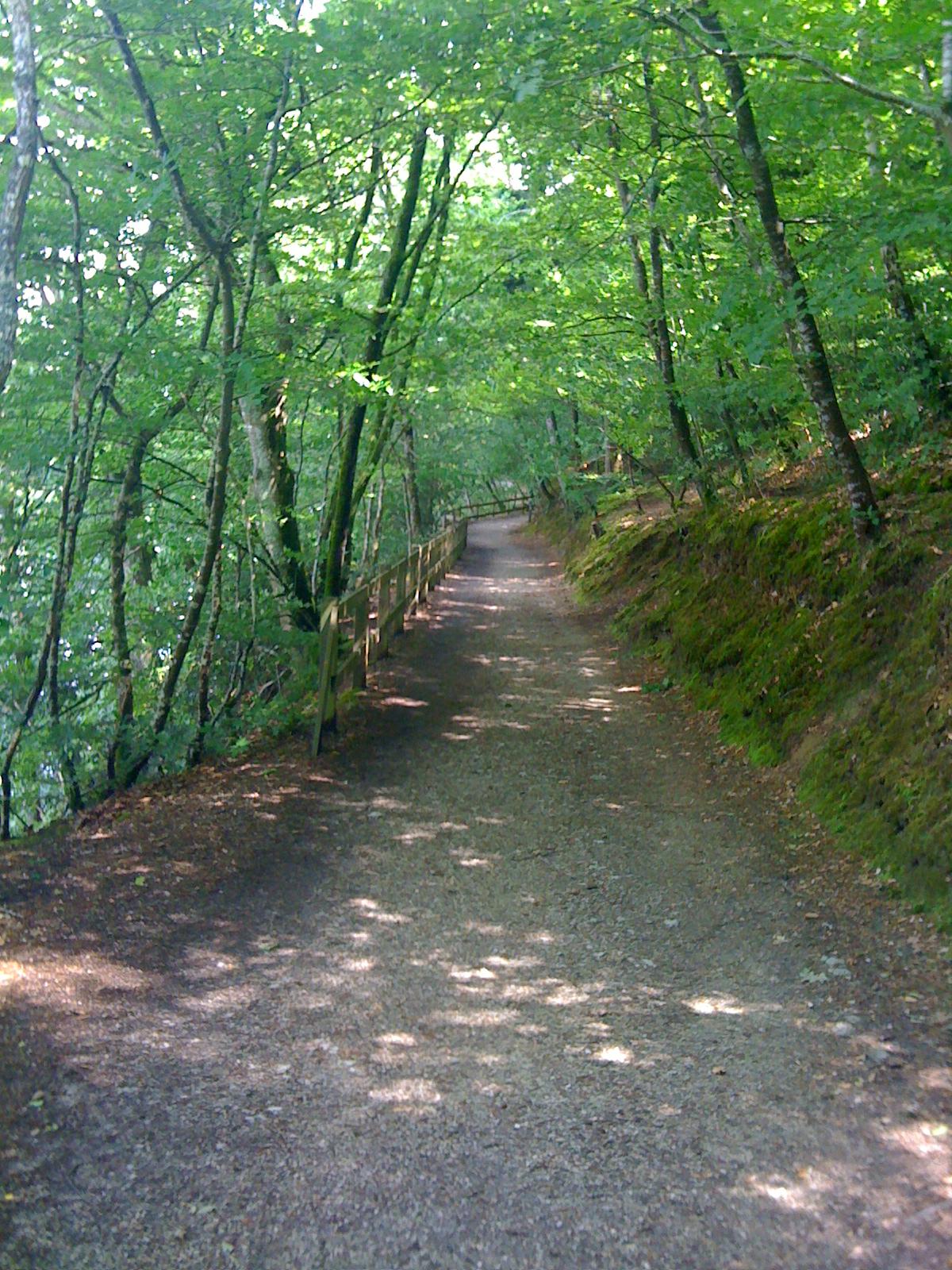 Notre chemin