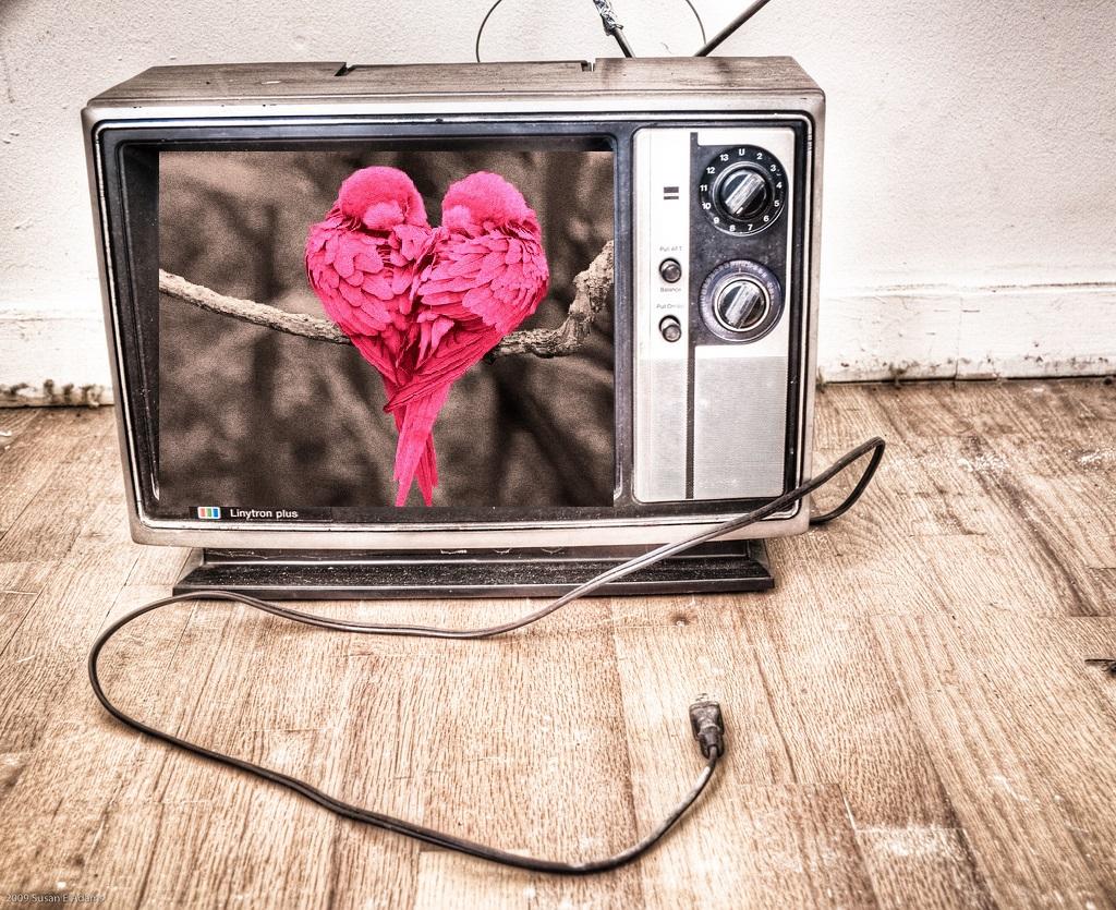 Television set